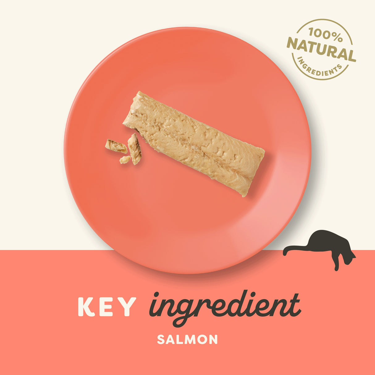 Applaws Whole Salmon Loin Cat Treat - 30g