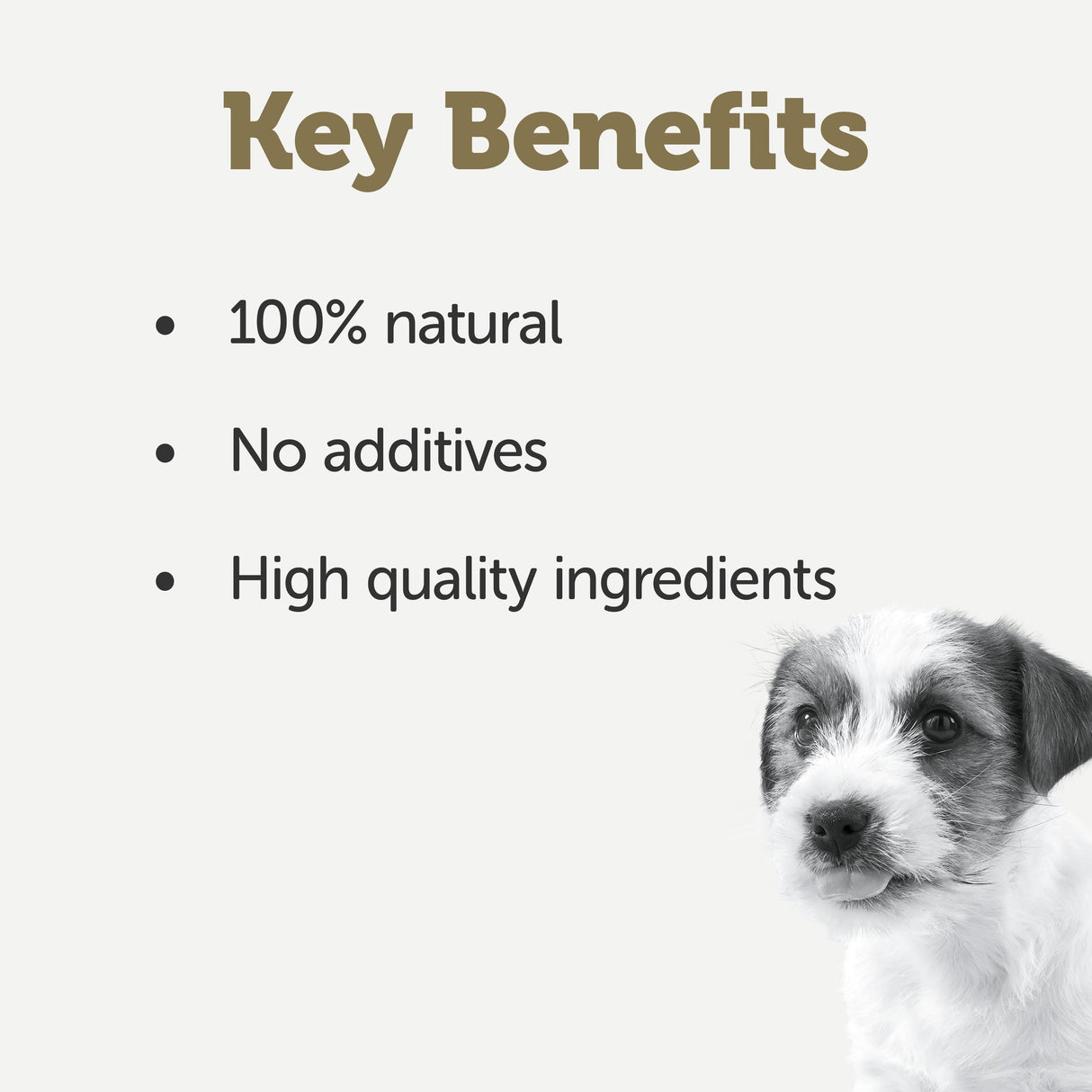 Applaws Taste Toppers Chicken Breast in Broth Puppy Wet Dog Food Tins - 48 x 156g