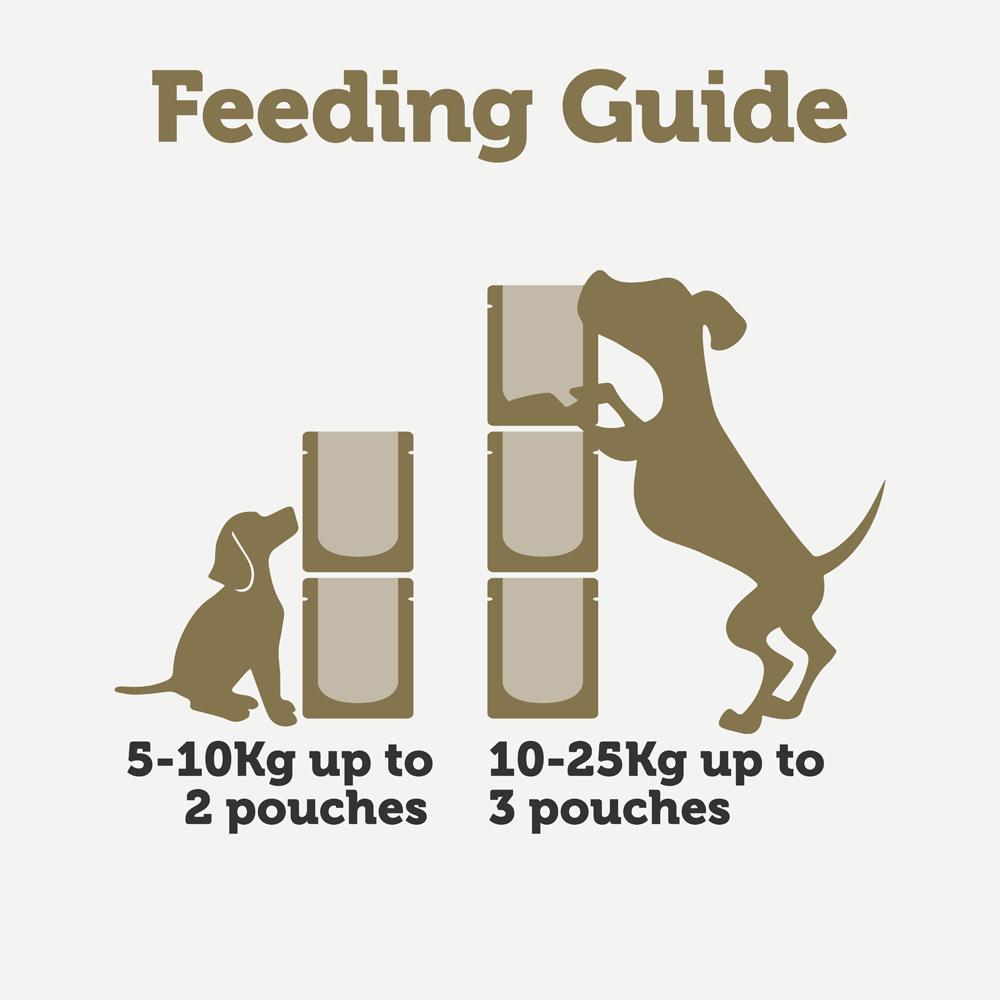 Applaws Taste Toppers Selection in Gravy Adult Wet Dog Food Pouches - 6x85g