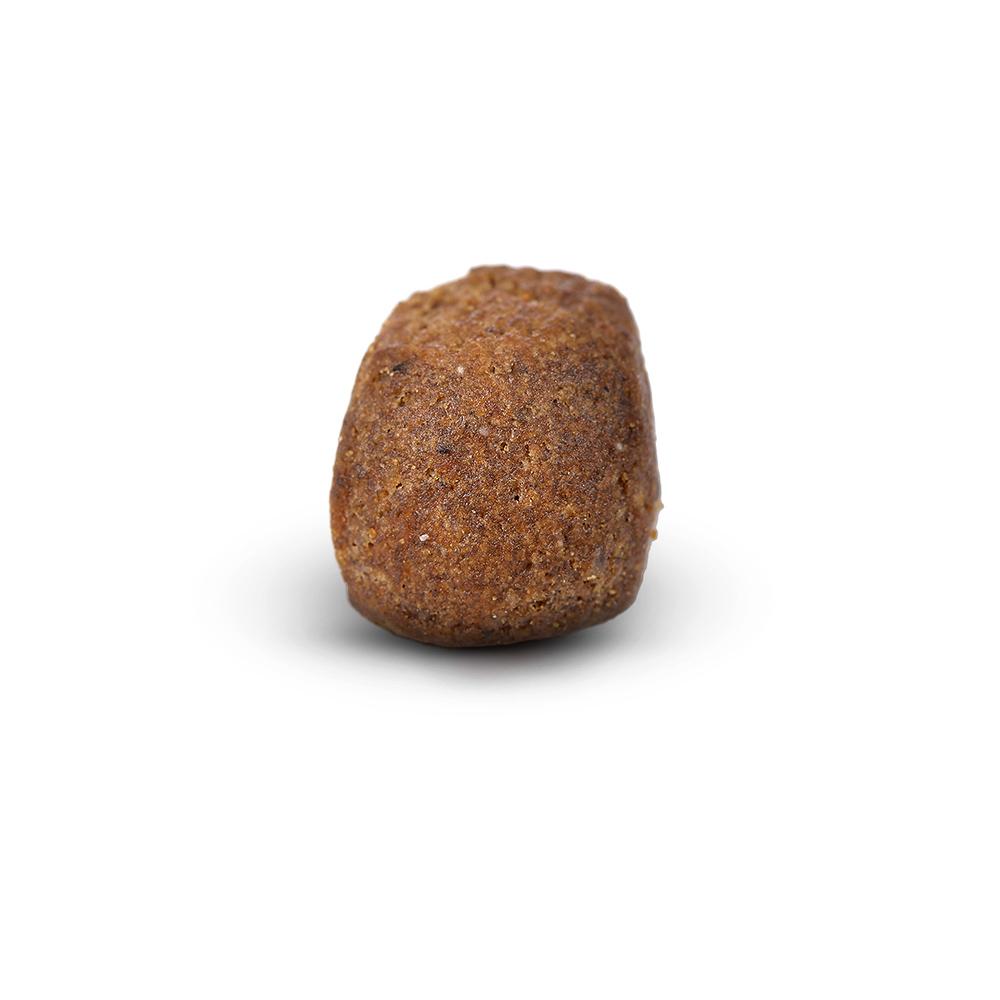 Arden Grange Premium Dry Dog Food - 12kg