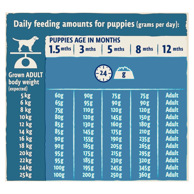 BETA Puppy Turkey & Lamb Dry Dog Food - 14kg