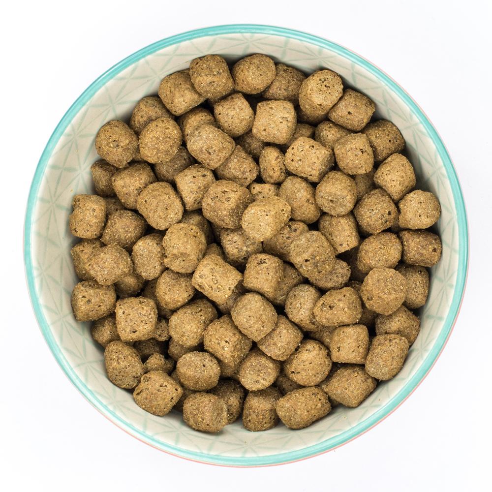 Burns Alert Chicken & Brown Rice Dry Dog Food - 6kg