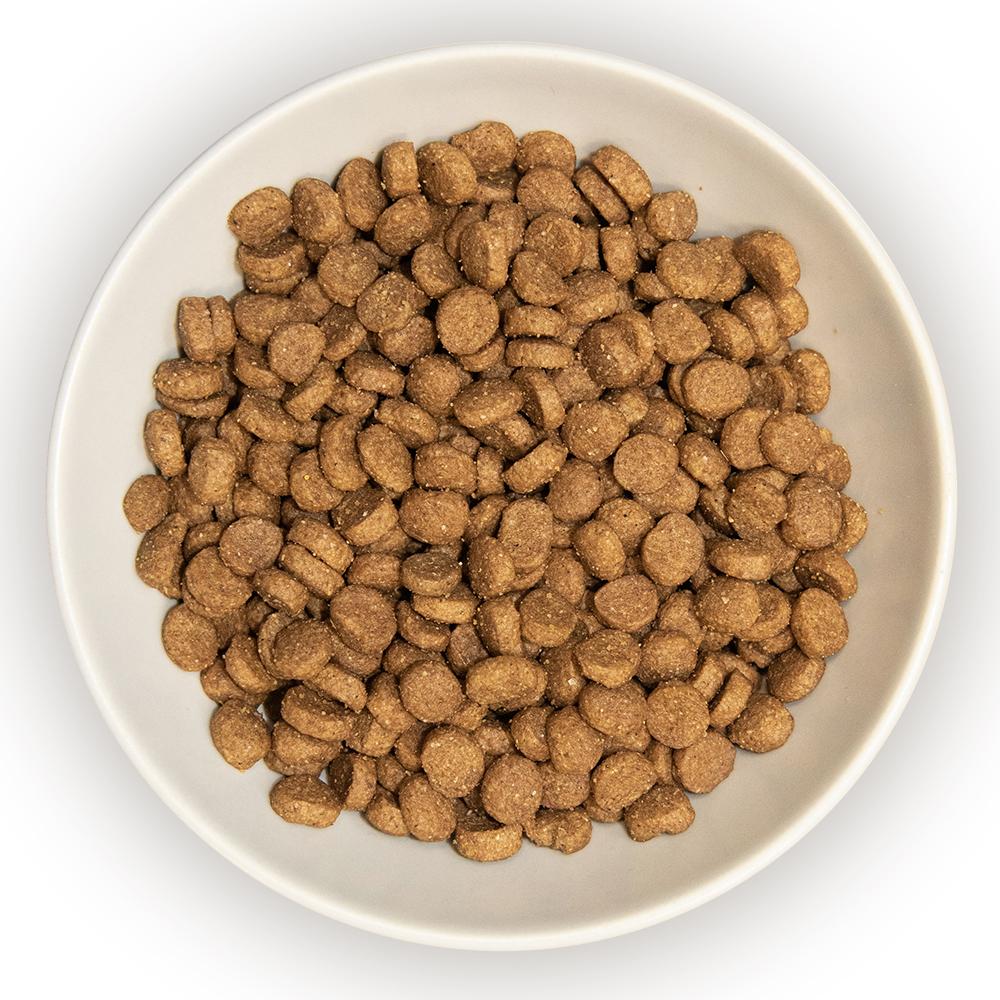 Burns Chicken & Rice Dry Kitten Food - 1.5kg