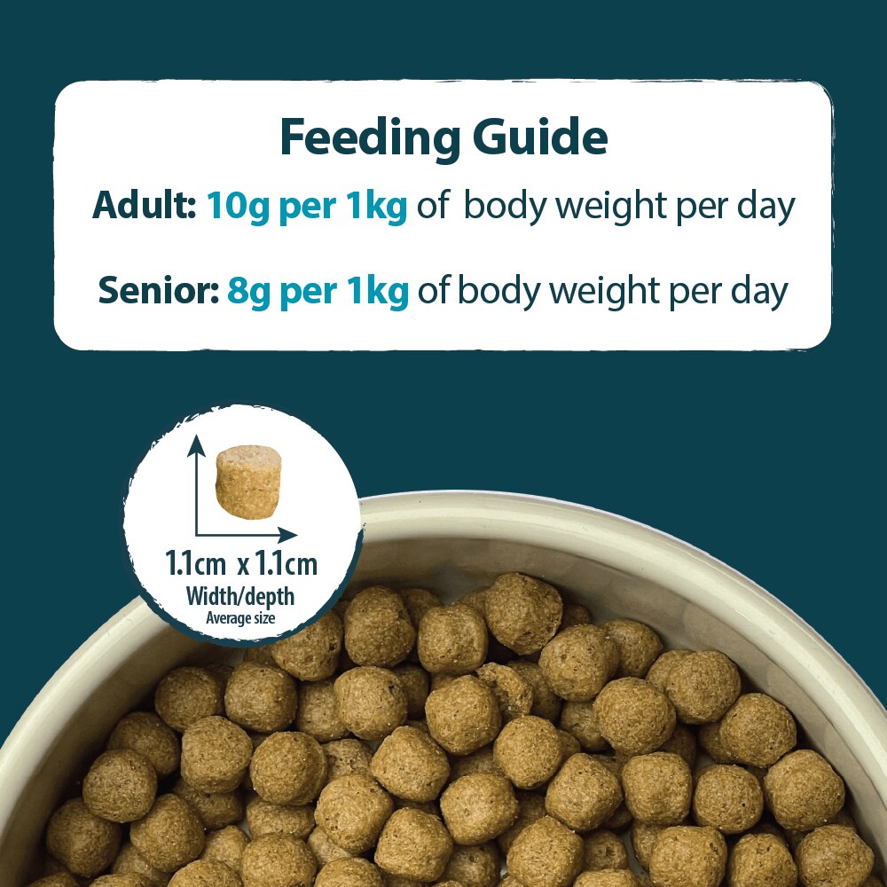 Burns Original Lamb & Brown Rice Dry Dog Food - 6kg