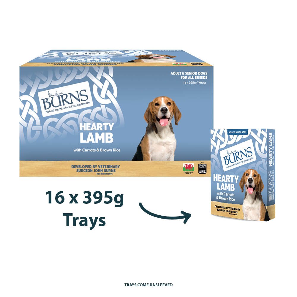 Burns Lamb Bumper Box Wet Dog Food Trays - 16 x 395g