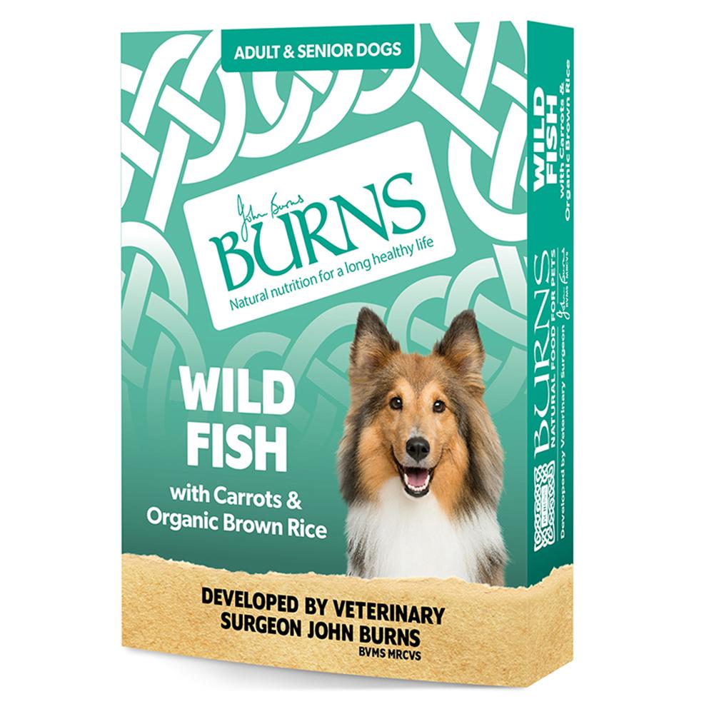 Burns Wild Fish with Carrots and Organic Brown Rice Wet Dog Food Trays - 12 x 150g