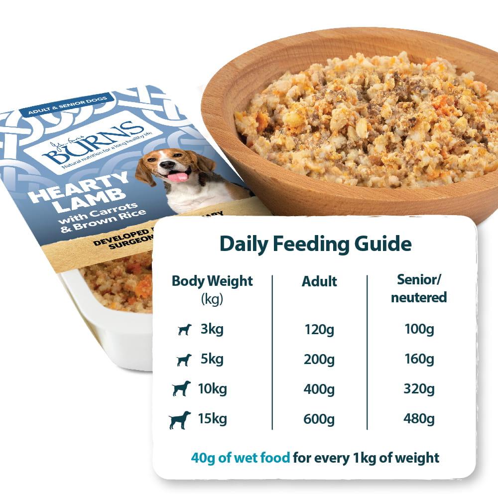 Burns Hearty Lamb with Carrots and Organic Brown Rice Wet Dog Food Trays - 6 x 395g