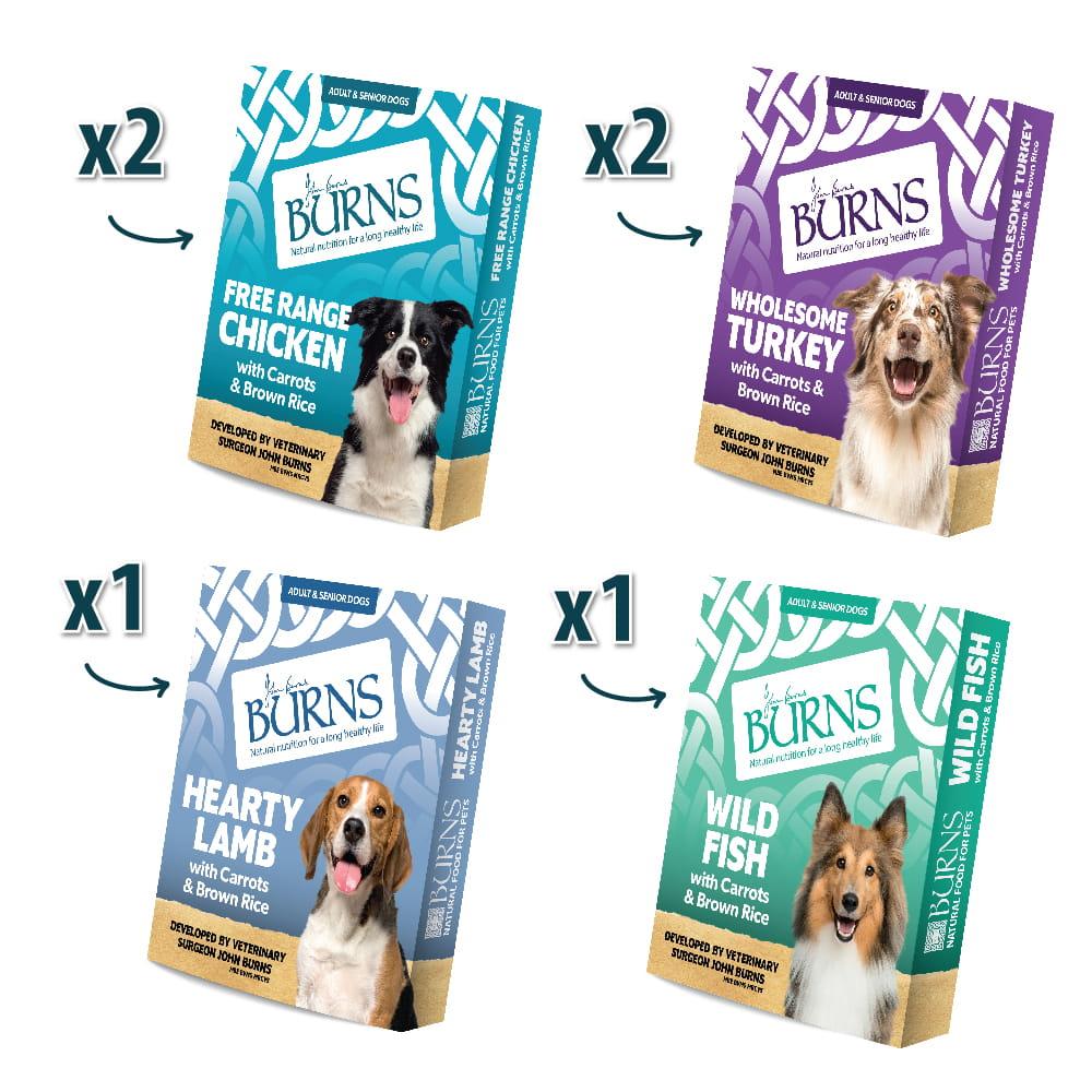 Burns Variety Box Wet Dog Food Trays - 6 x 395g