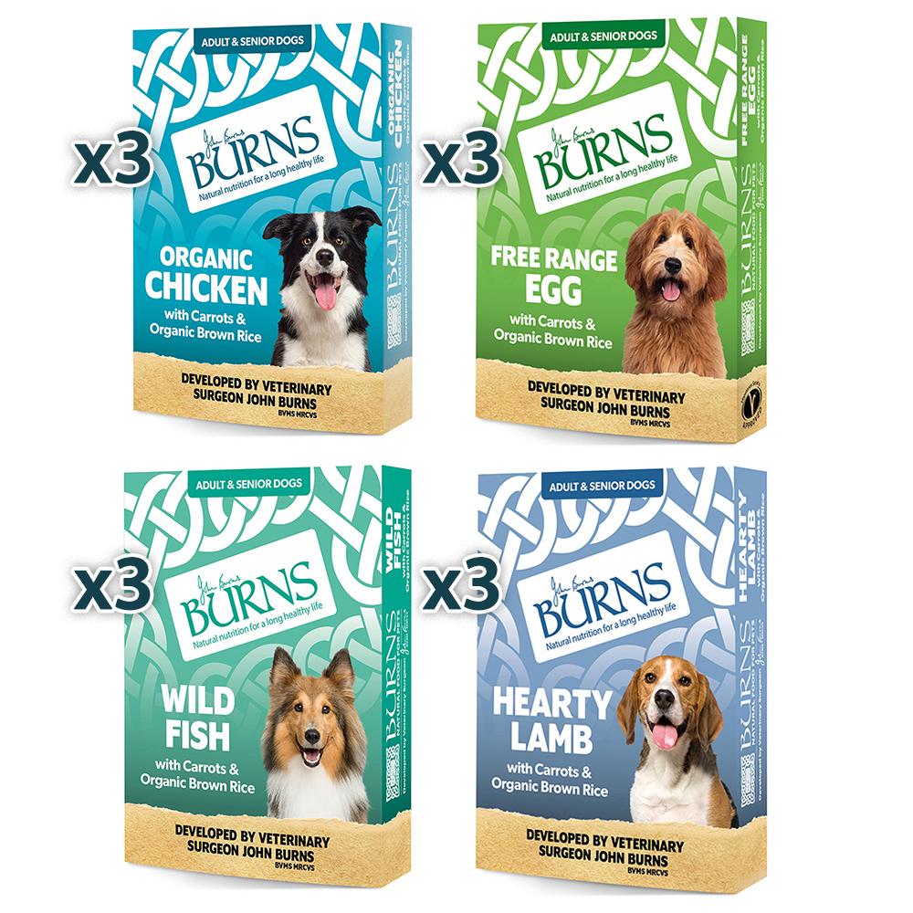 Burns Variety Box Wet Dog Food Trays - 12 x 150g