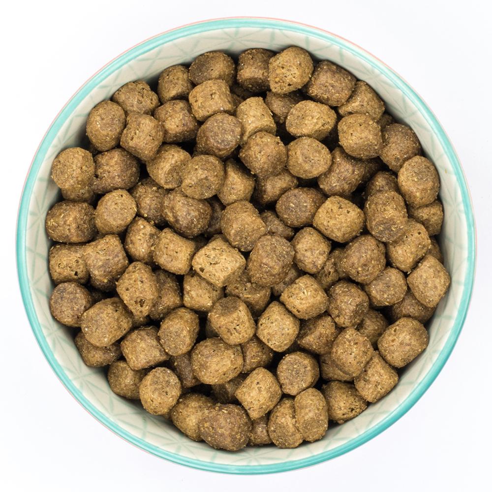 Burns Puppy Original Chicken & Rice - 6kg