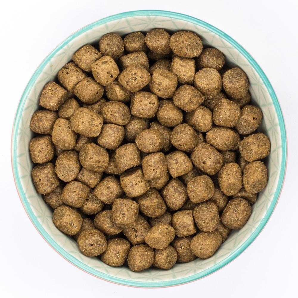Burns Sensitive Duck & Brown Rice Dry Dog Food - 12kg