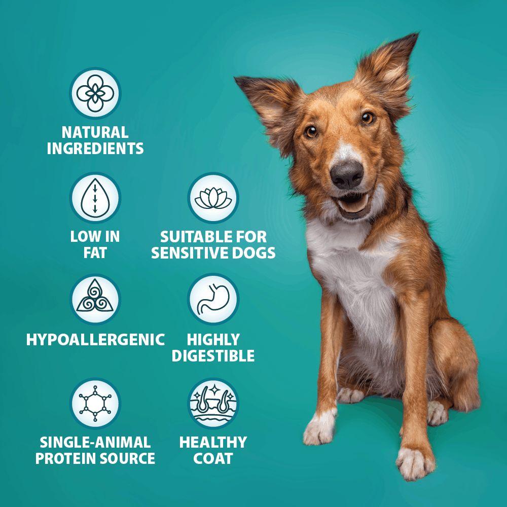 Burns Sensitive Pork & Potato Dog Food - 6kg