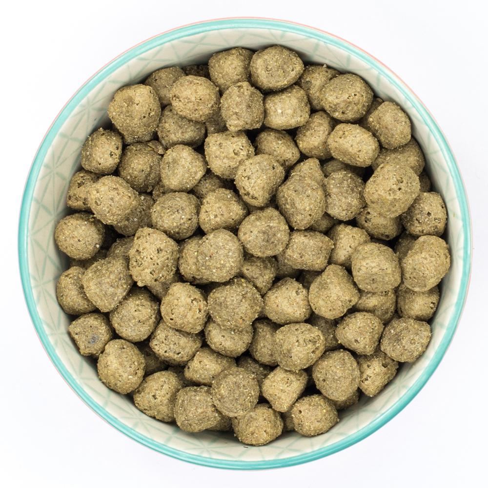 Burns Sensitive Pork & Potato Dry Dog Food - 12kg