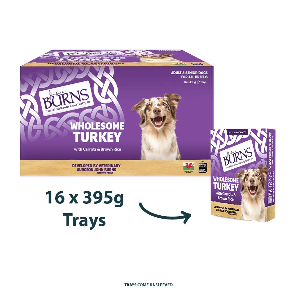 Burns Turkey Bumper Box Wet Dog Food Trays - 16 x 395g