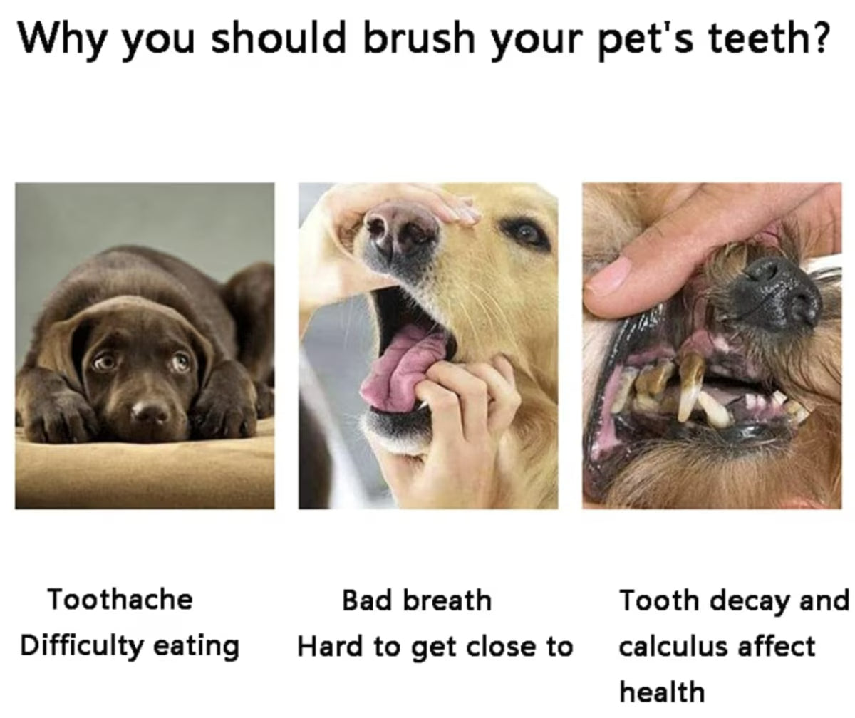Brushy Buddy