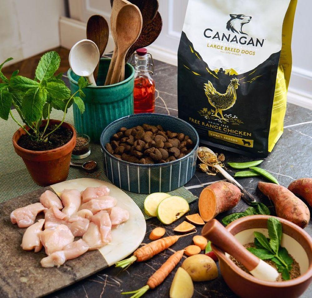 Canagan Large Breed Free-Range Chicken Dry Dog Food - 2kg