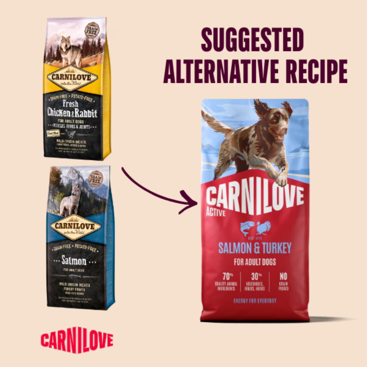 Carnilove Active Salmon & Turkey Adult Dry Dog Food – 12kg