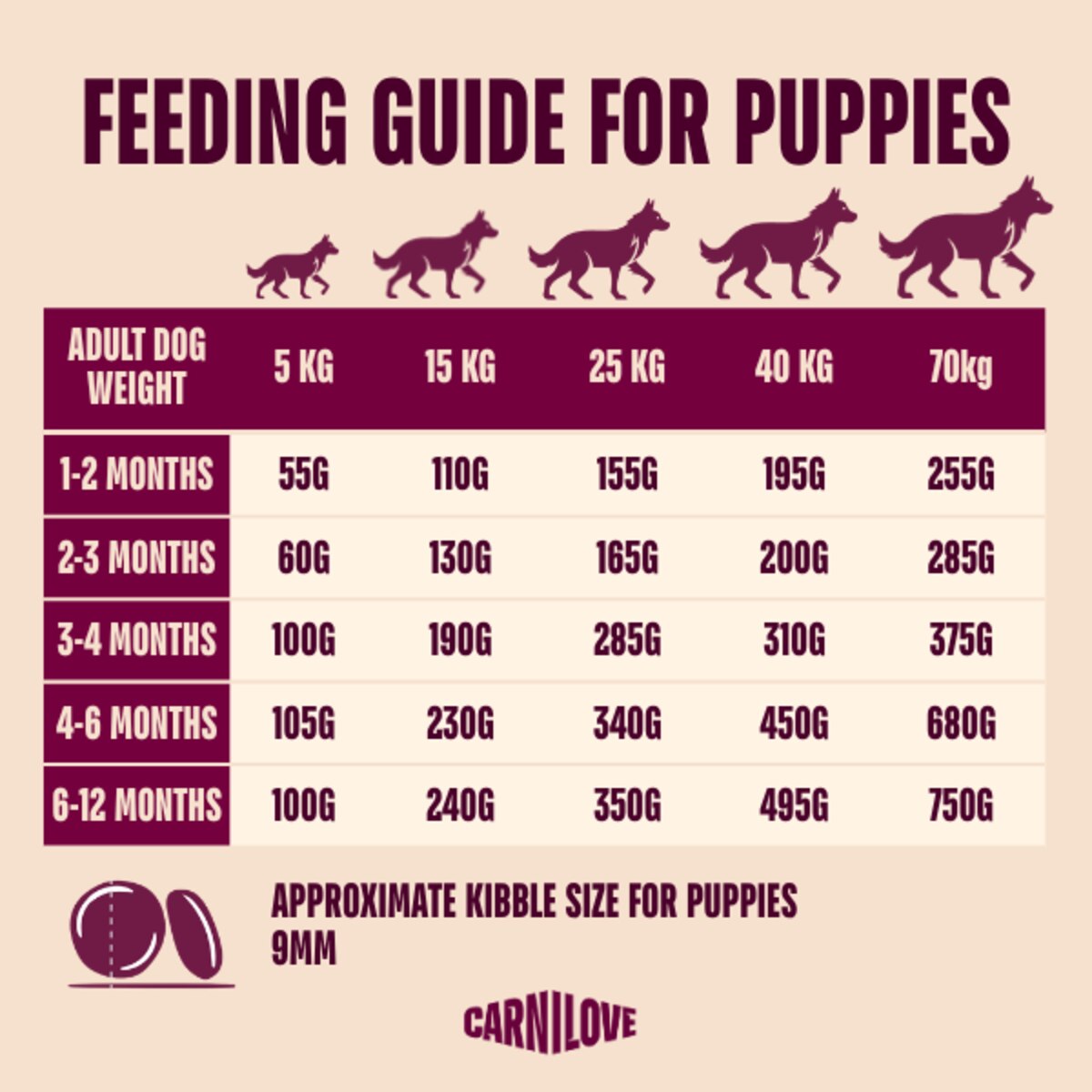 Carnilove Active Salmon & Turkey Puppy Dry Dog Food – 1.5kg