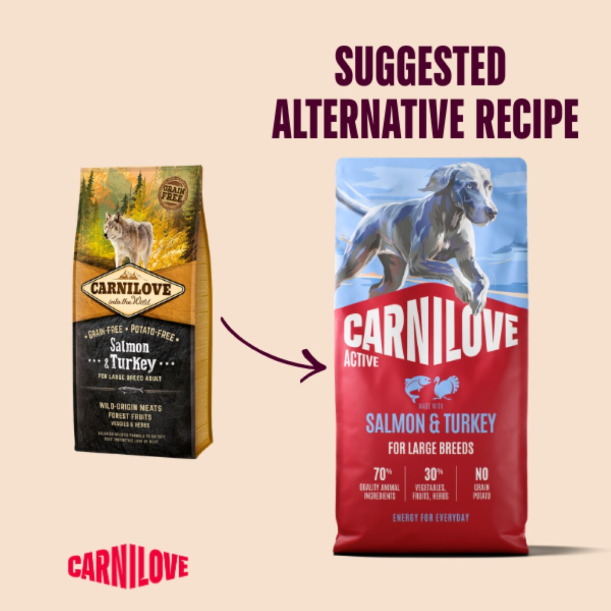 Carnilove Active Salmon & Turkey Adult Large Breed Dry Dog Food - 12kg