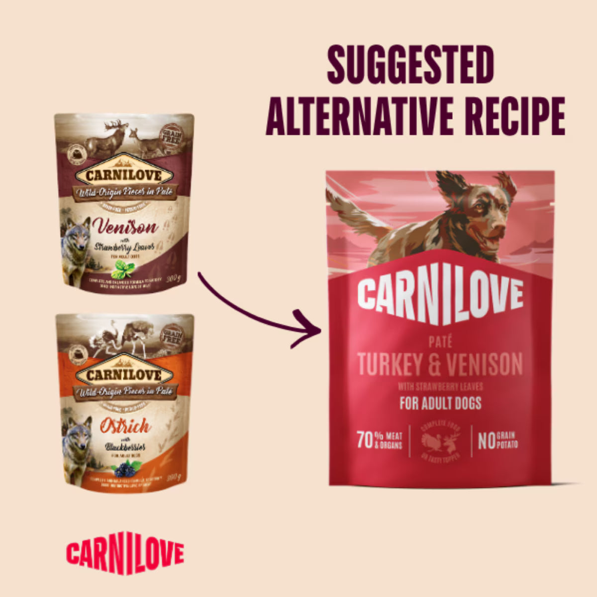 Carnilove Turkey & Venison Adult Wet Dog Food Pate Pouches – 12 x 300g