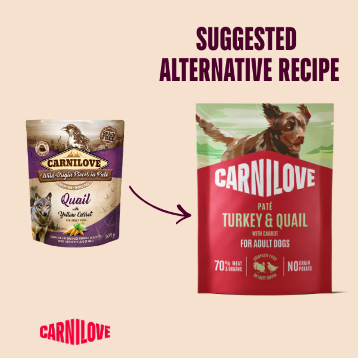 Carnilove Turkey & Quail Adult Wet Dog Food Pate Pouches – 12 x 300g