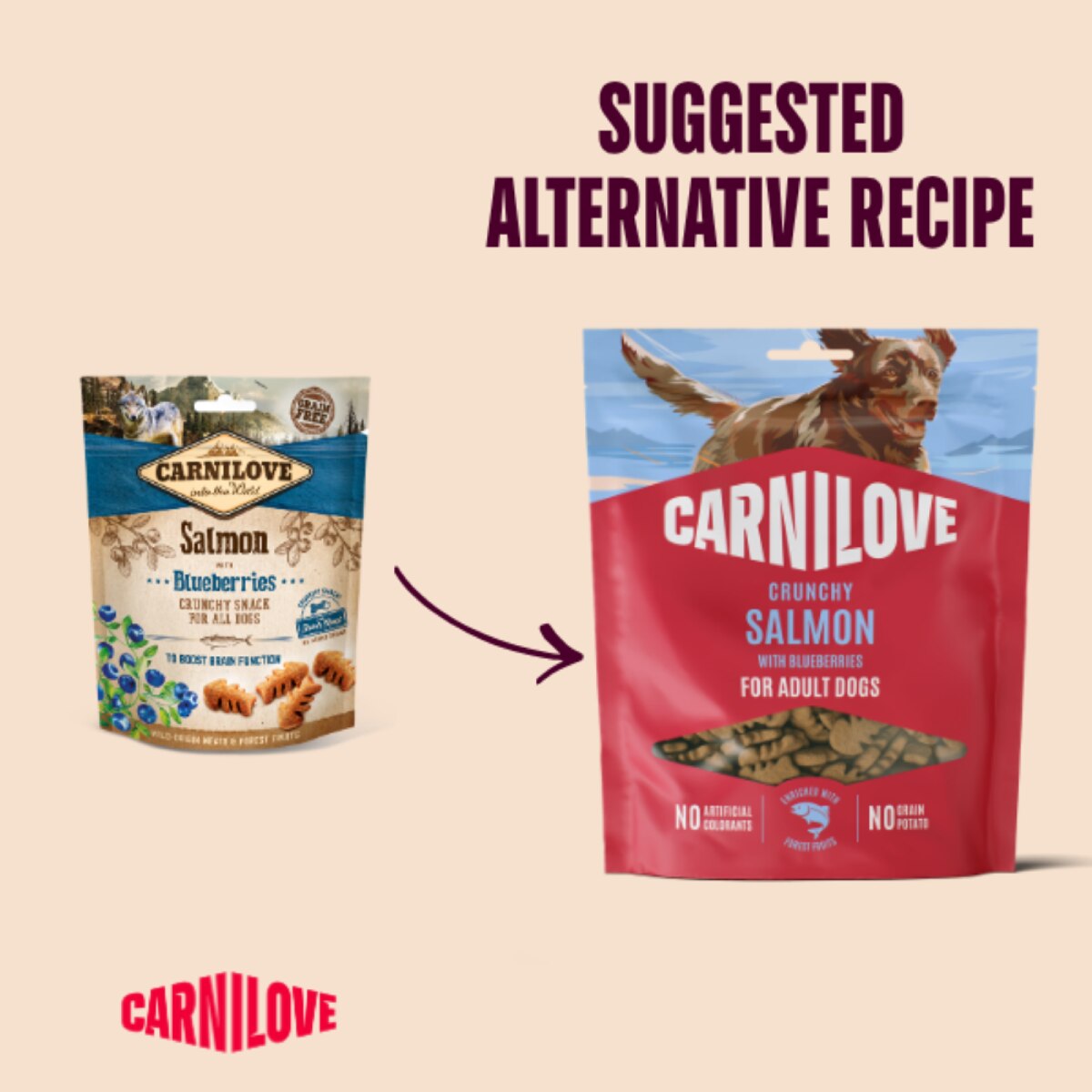 Carnilove Salmon & Blueberries Adult Crunchy Dog Treat – 200g