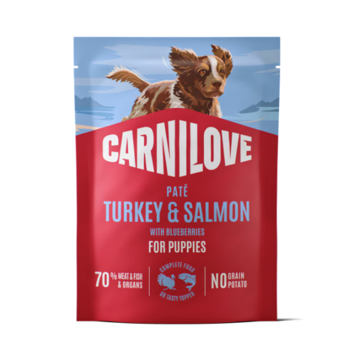 Carnilove Turkey & Salmon Puppy Wet Dog Pate Pouch – 12 x 300g