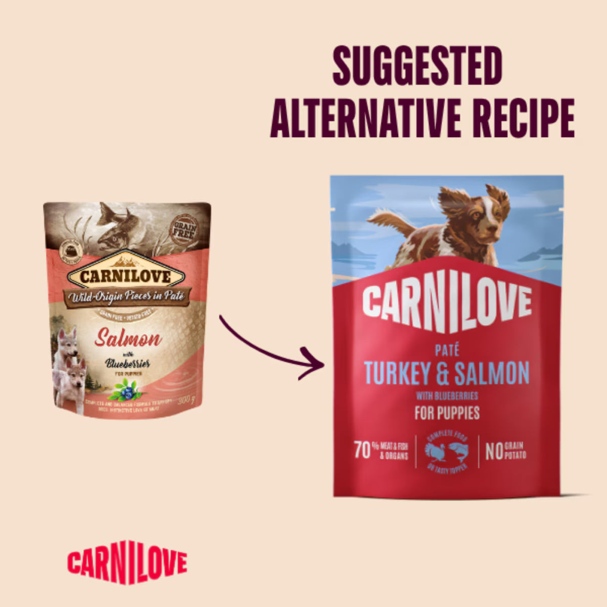 Carnilove Turkey & Salmon Puppy Wet Dog Pate Pouch – 12 x 300g