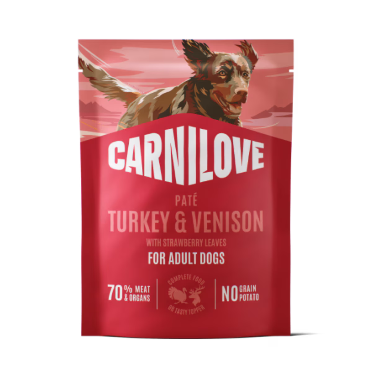 Carnilove Turkey & Venison with Strawberry Leaves Wet Dog Food Pouches - 12 x 300g