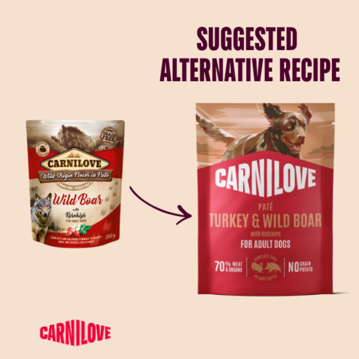 Carnilove Turkey & Wild Boar Adult Wet Dog Food Pate Pouches – 12 x 300g