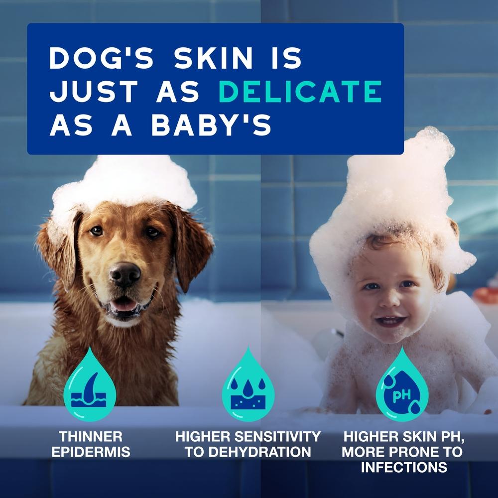 DOUXO Skin & Coat SPA Ultra-Safe Odour Control Dog Shampoo for Smelly Dogs - 250ml