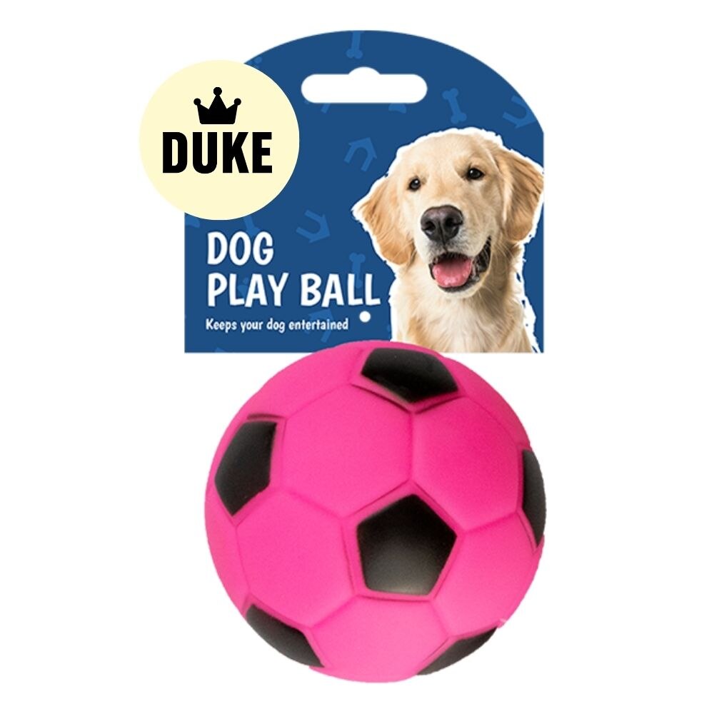 DUKE Dog Play Ball