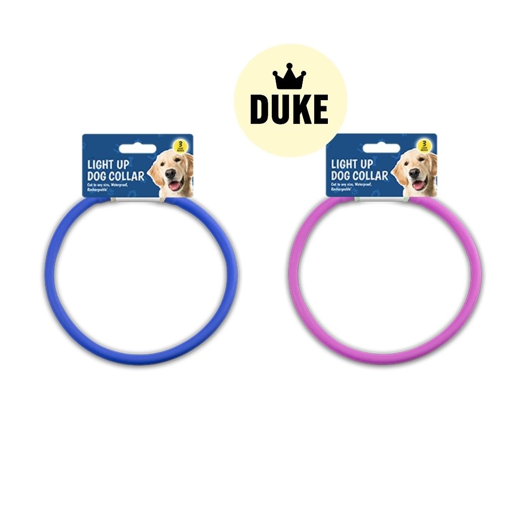 DUKE Light Up Dog Collar