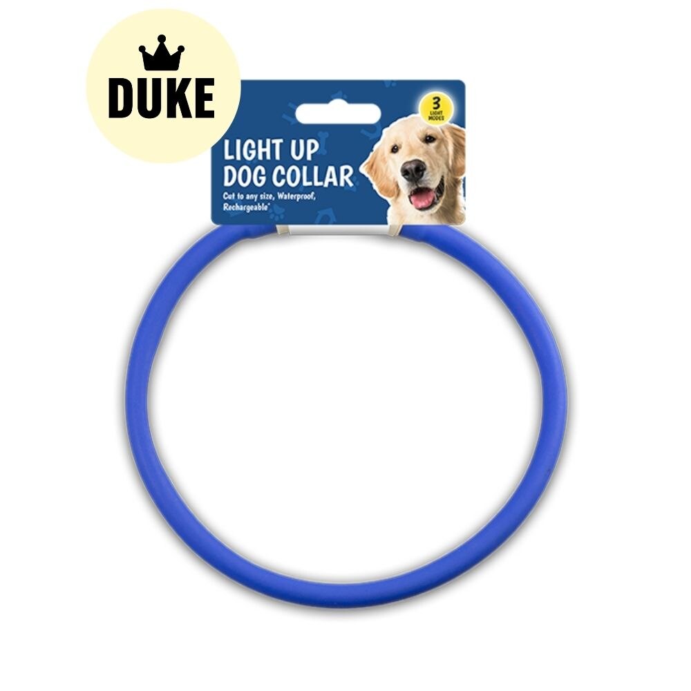 DUKE Light Up Dog Collar