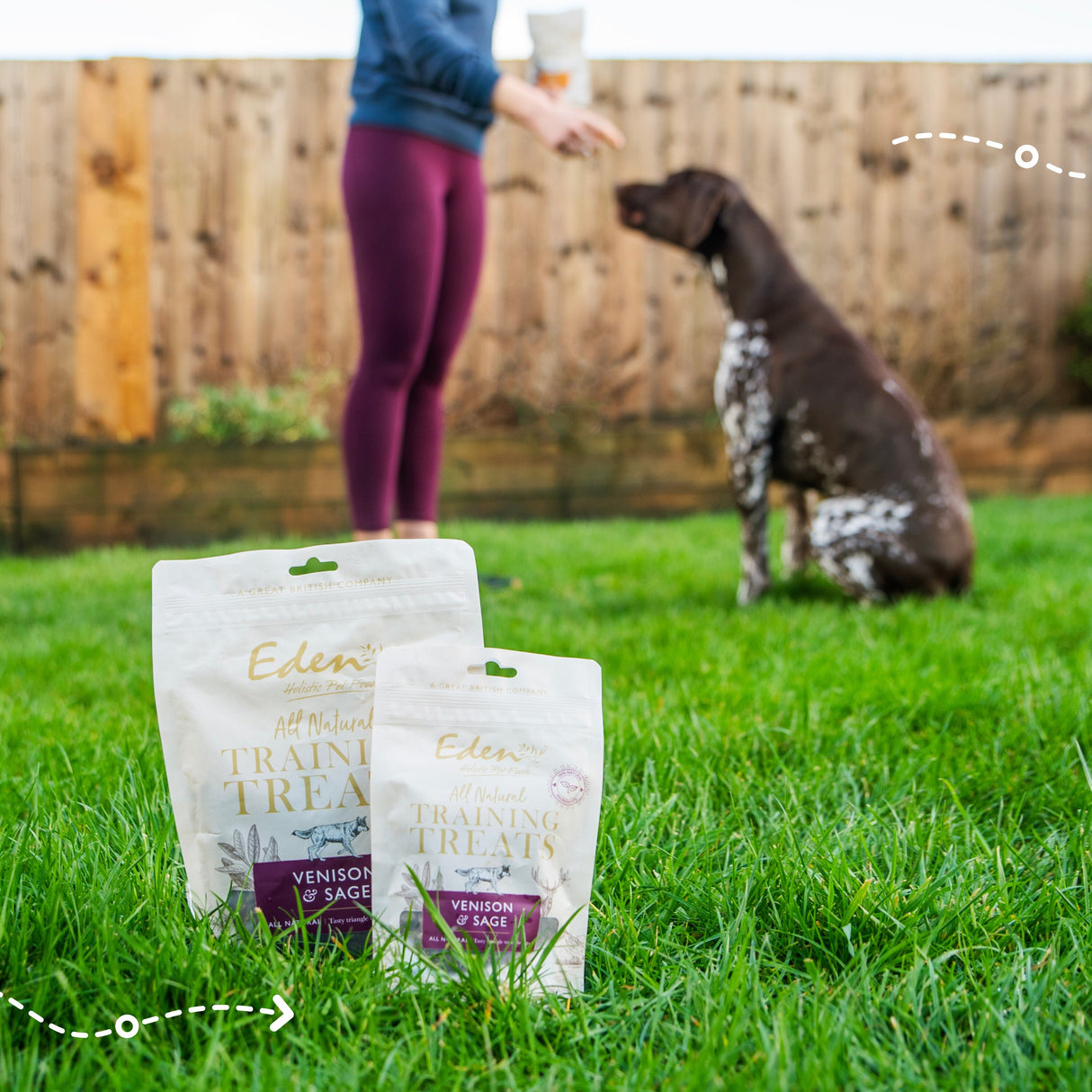 Eden Venison & Sage Training Dog Treats - 500g