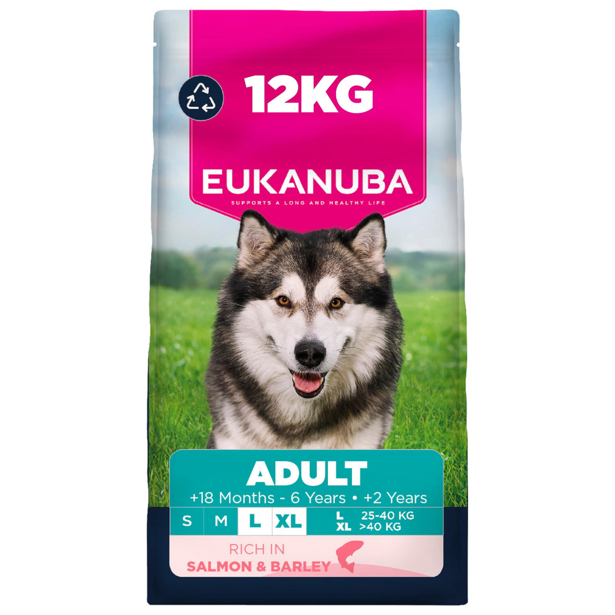 Eukanuba Adult Salmon & Barley Large Breed Dry Dog Food - 12kg