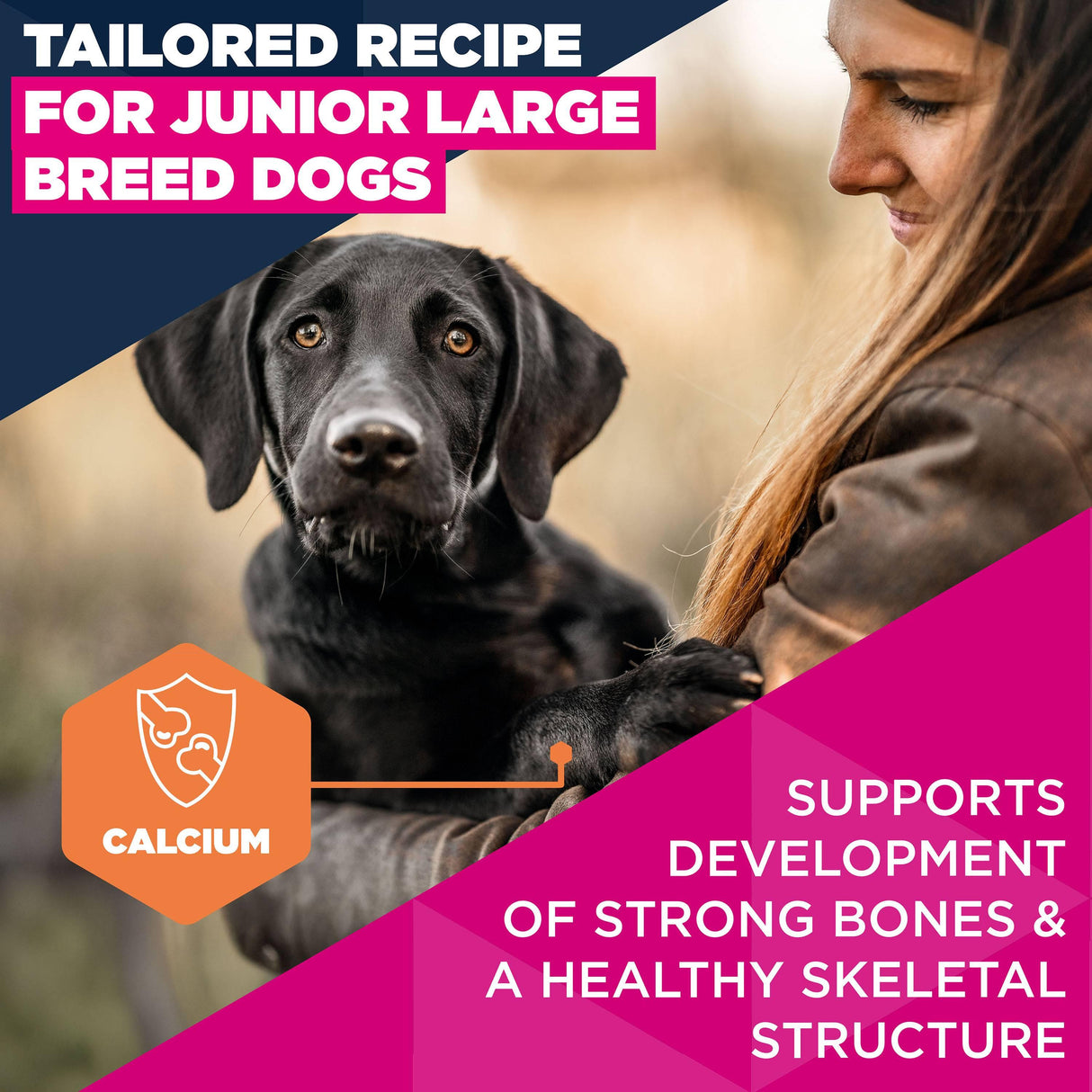 Eukanuba Junior Large Breed Chicken Dog food- 12kg