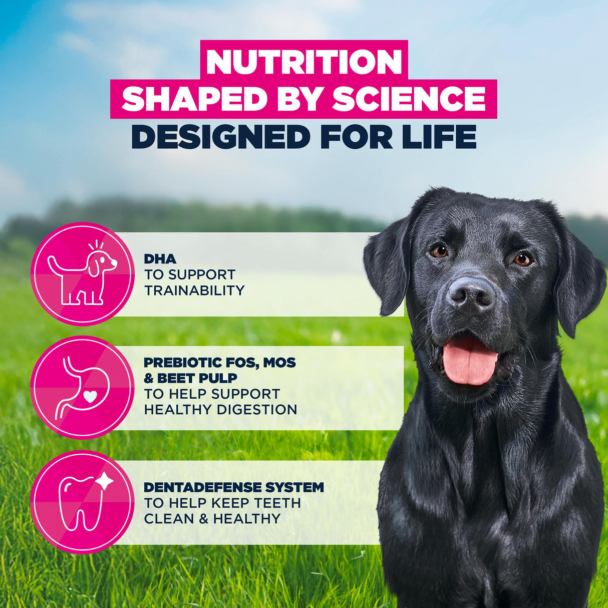 Eukanuba Junior Large Breed Chicken Dog food- 12kg