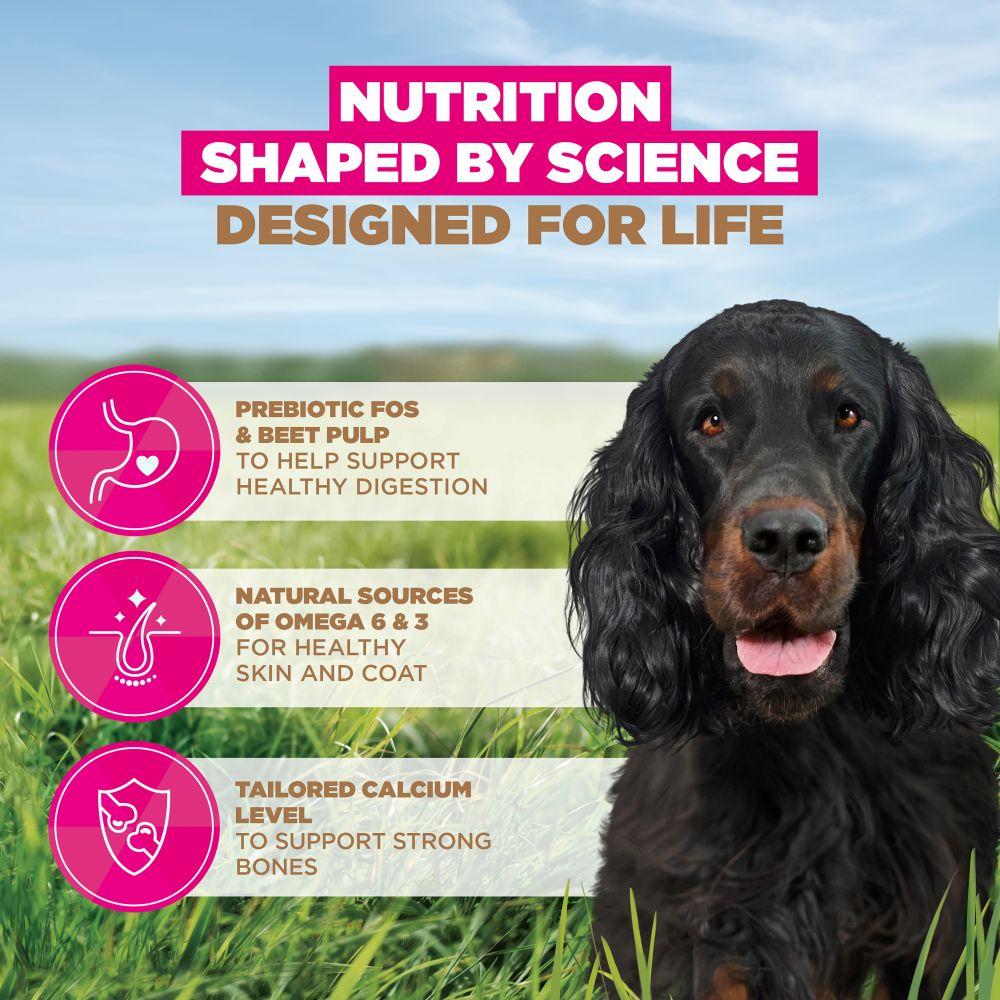 Eukanuba Grain Free Adult Dog Venison Dry Food - 12kg