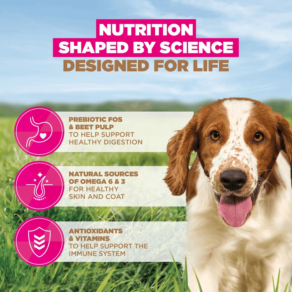 Eukanuba Grain Free Small/Medium Adult Dog Ocean Fish Dry Food - 3kg