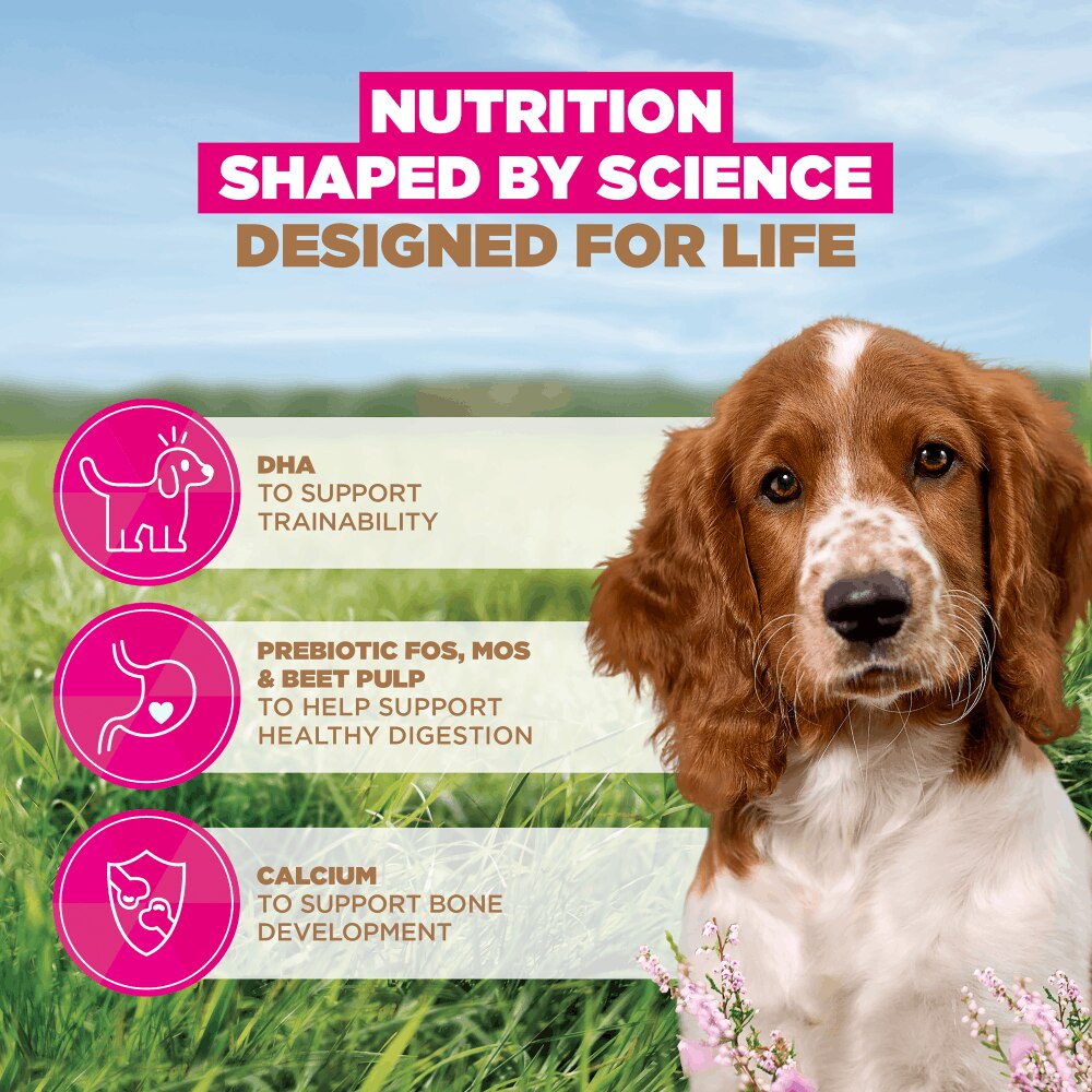 Eukanuba Grain Free Small/Medium Puppy Ocean Fish Dry Food - 12kg