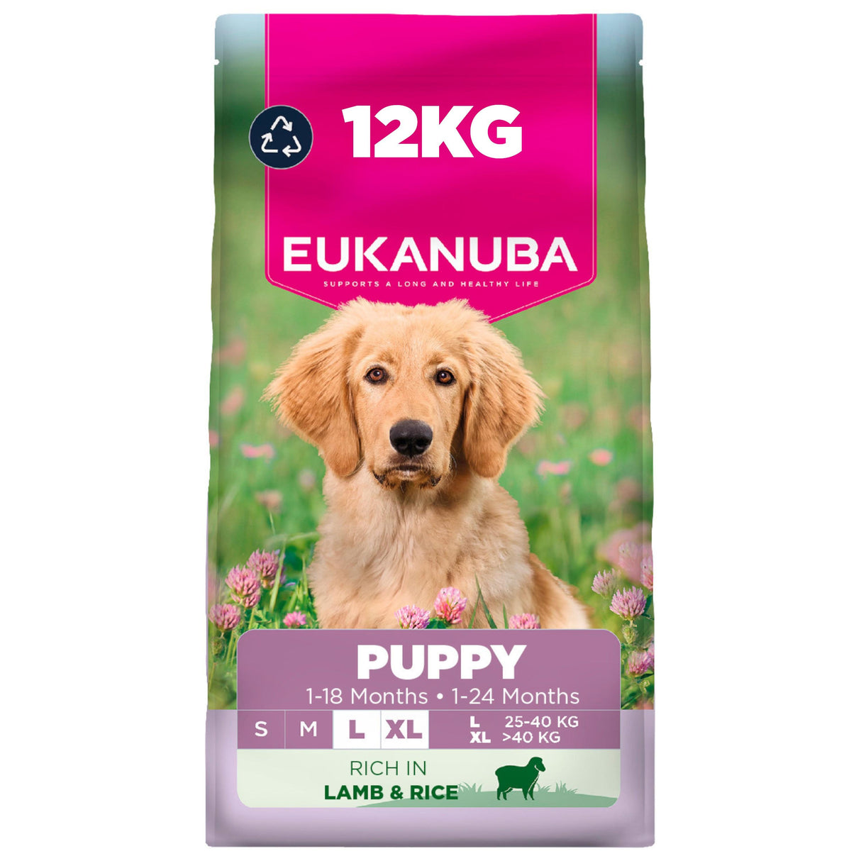 Eukanuba Puppy Large Breed Lamb & Rice Dry Dog Food - 12kg