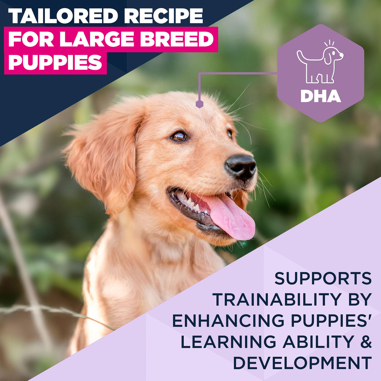 Eukanuba Puppy Large Breed Lamb & Rice Dry Dog Food - 12kg
