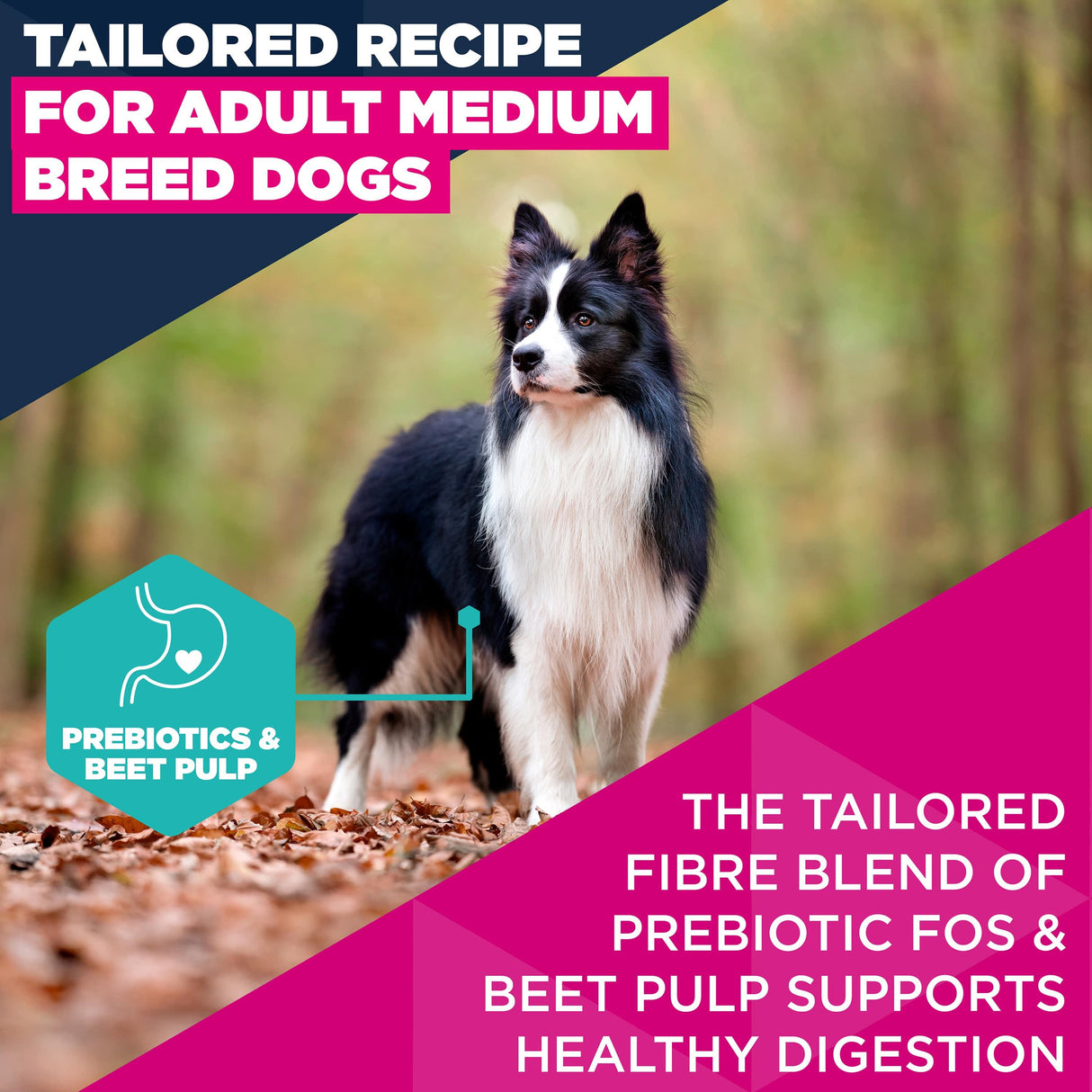 Eukanuba Adult Medium Breed Chicken Dry Dog Food-12kg