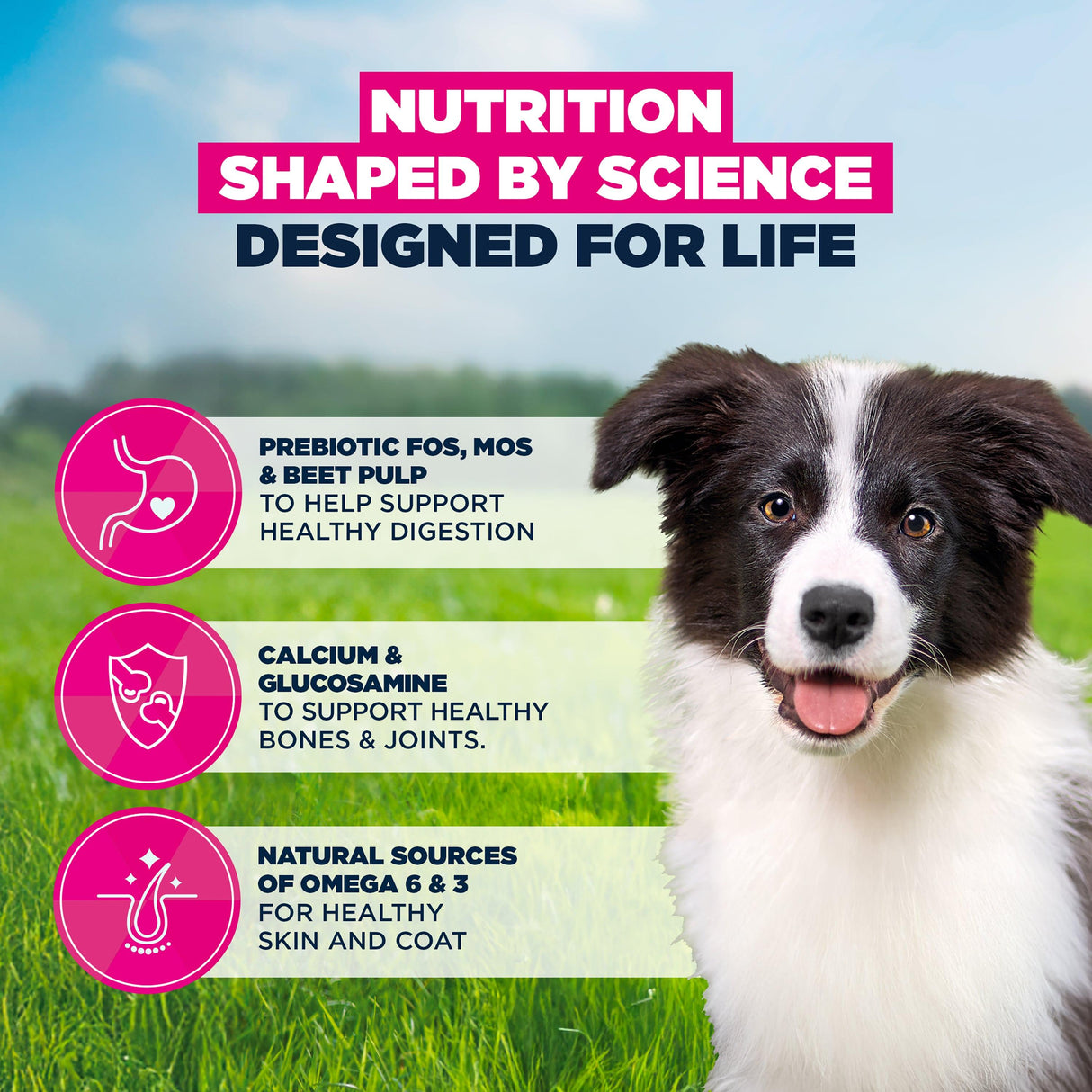 Eukanuba Puppy Medium Dry Dog Food Chicken 12kg