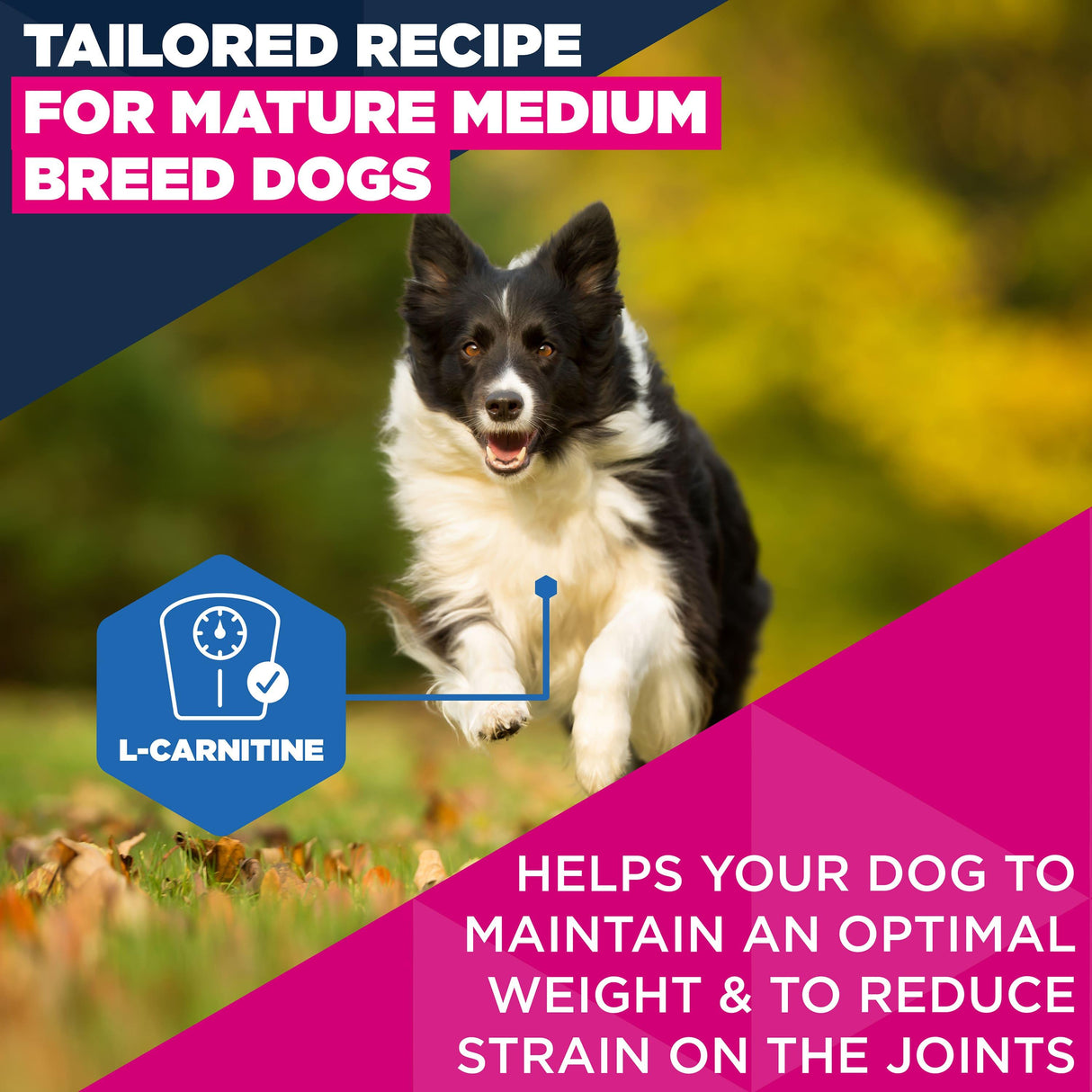 Eukanuba Mature Medium Breed Dry Dog Food Chicken - 12kg