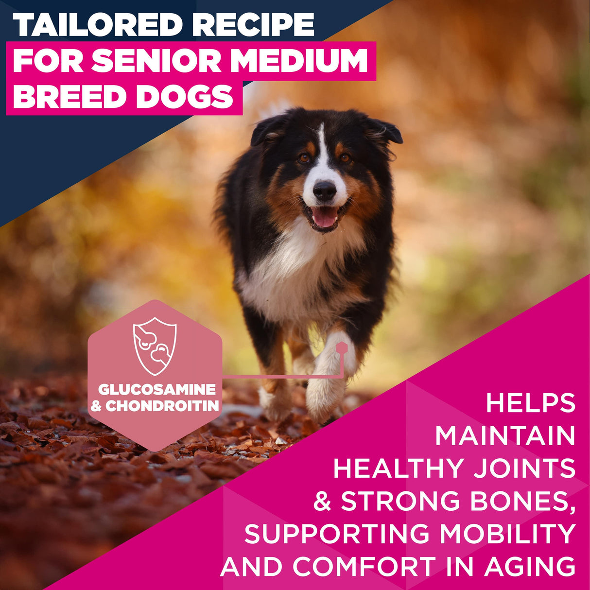 Eukanuba Senior Medium Breed Chicken Dog Food - 12kg