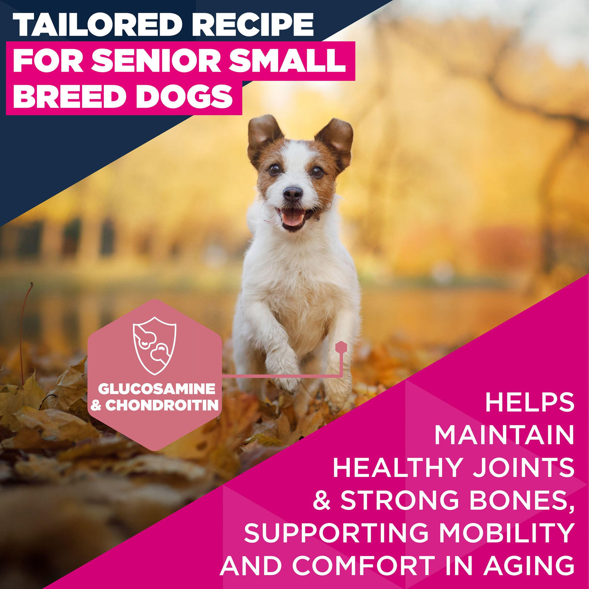 Eukanuba Senior Small Breed Chicken Dog Food - 12kg