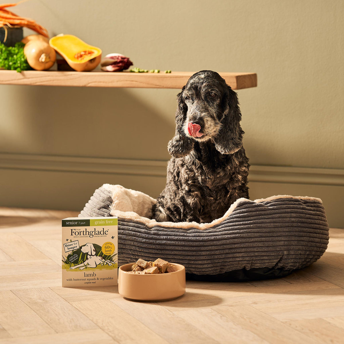 Forthglade Complete Senior Dog Grain Free Lamb with Butternut Squash & Veg Wet Dog Food - 18 x 395g