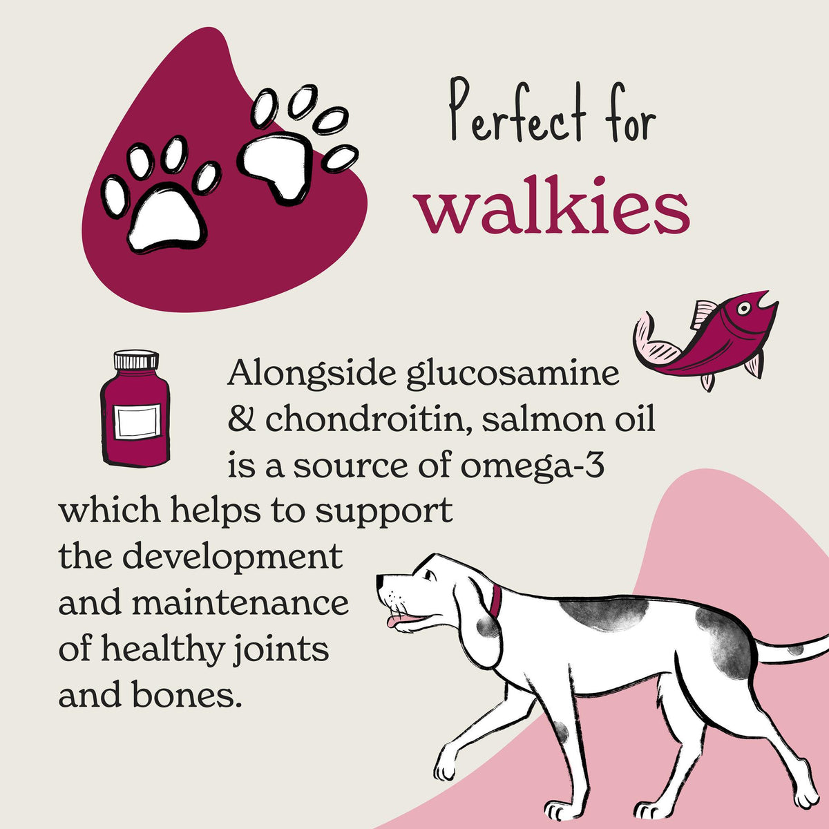 Forthglade Functional Natural Soft Bites Joints & Bone Dog Treats - 90g